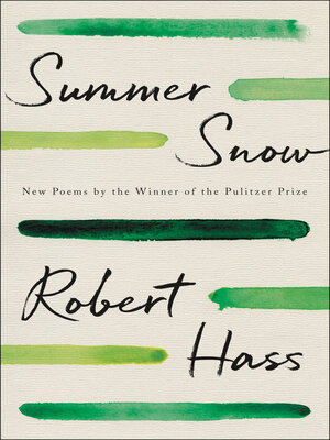 cover image of Summer Snow